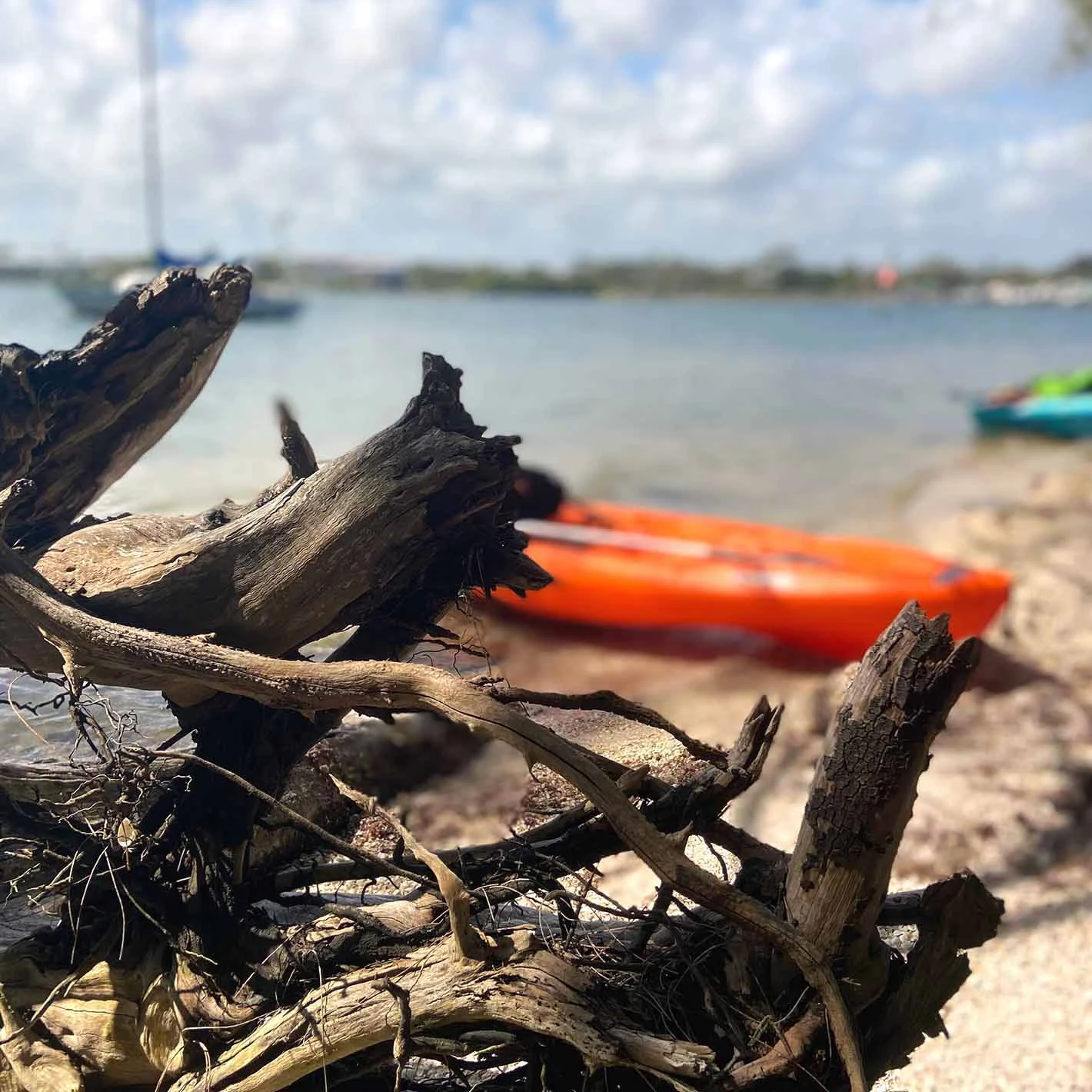 Pelican Sport Pulse 100X Recreational Sit-on-Top Kayak with Paddle 10 Pelican Sport Pulse 100X Recreational Sit-on-Top Kayak with Paddle - Image 10