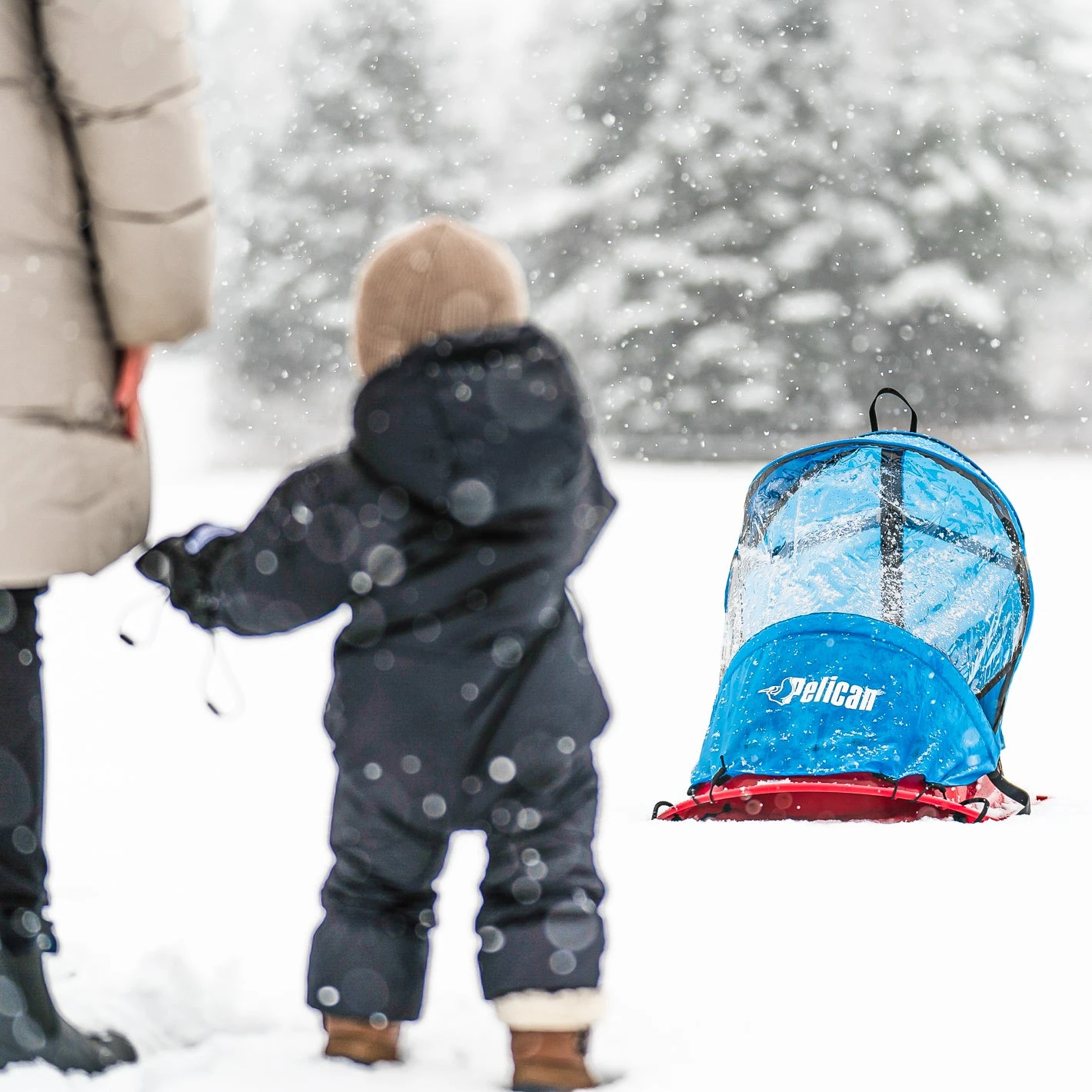 Pelican Sport Baby Sled Deluxe with Protective Shield and Safety Harness 2 Pelican Sport Baby Sled Deluxe with Protective Shield and Safety Harness - Image 2